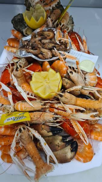 Meilleure poissonnerie pour plateau de fruits de mer pour les fêtes de fin d'année proche de Ourville-en-Caux 76