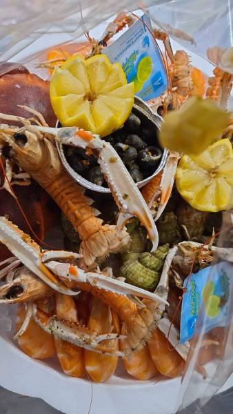 Plateau de Fruits de mer 